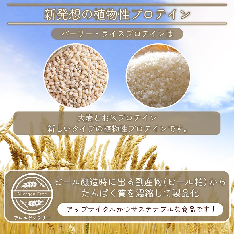 �С���饤���ץ��ƥ���