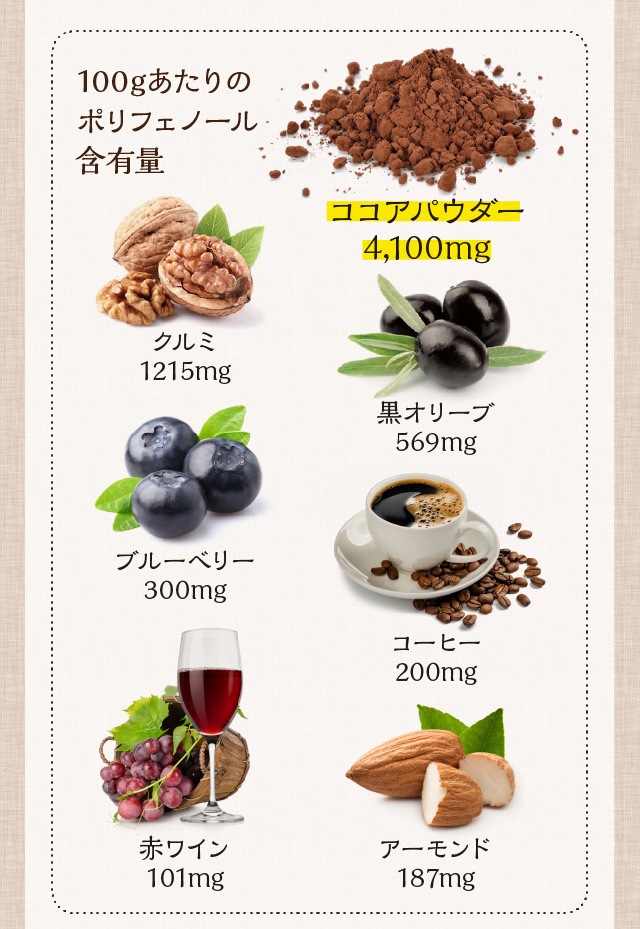 100%品質保証! 2袋 食品添加物 ニチガ 純ココアパウダー PREMIUM 500g