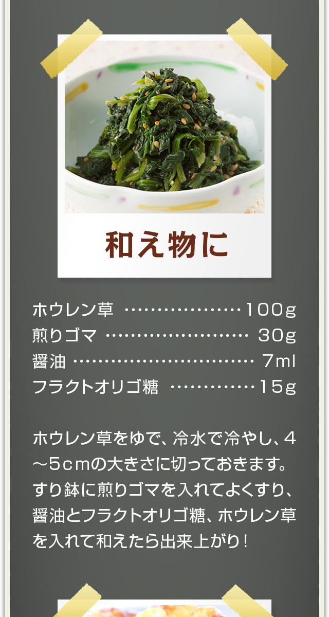 フラクトオリゴ糖（国内製造） さとうきび由来 の販売 | 【NICHIGA