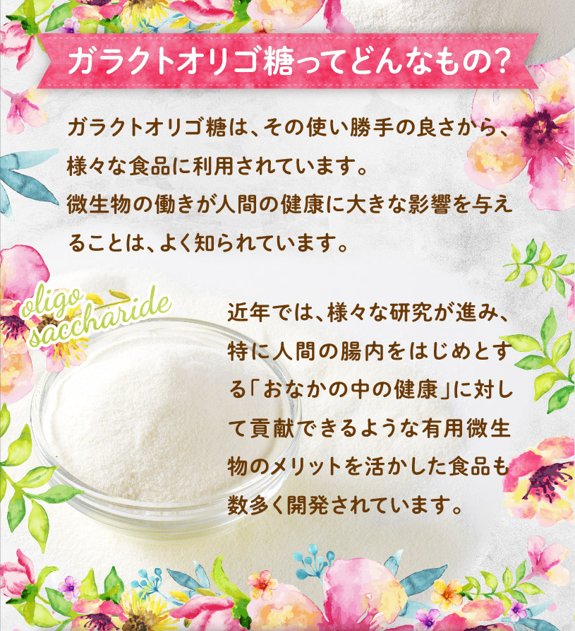 ガラクトオリゴ糖 の販売 Nichiga ニチガ エコ系洗剤 サプリメント 食品 食品添加物のオンラインショップ
