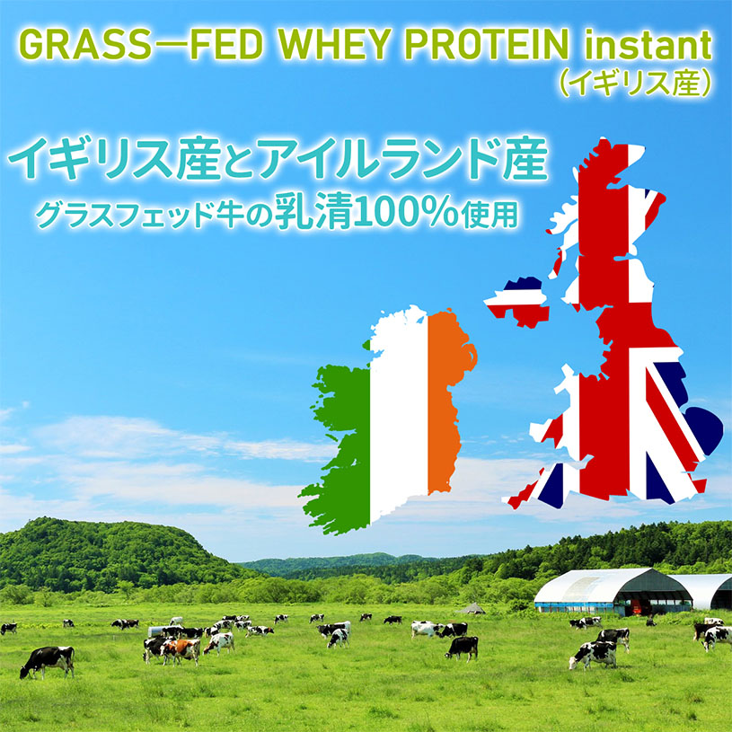 クリスマスファッション GRASS　Free　NICHIGA(ニチガ)　instant　[01]　GMO　グラスフェッド　500ｇ　ホエイプロテイン　牛成長ホルモン不使用