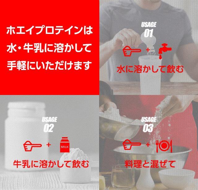 ホエイプロテイン 100【instant】 の販売 | 【NICHIGA（ニチガ