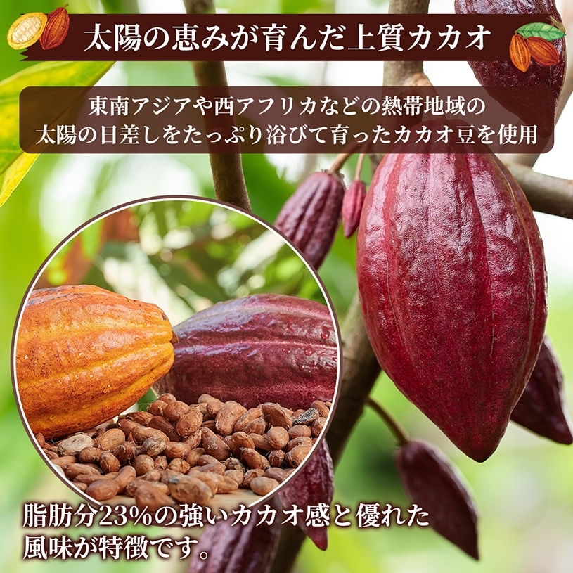 純ココアパウダー(マレーシア製造) の販売 | 【NICHIGA（ニチガ