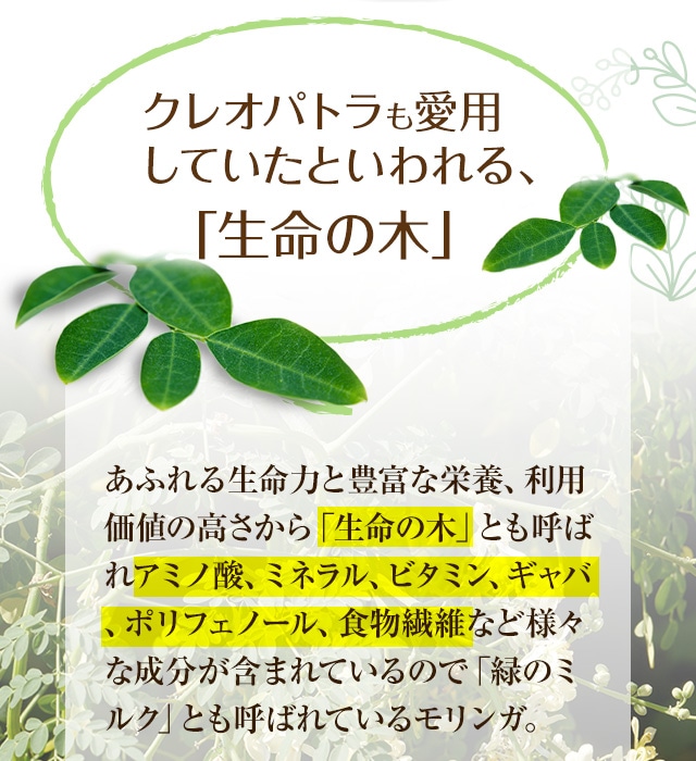 沖縄県産モリンガ粉末 の販売 | 【NICHIGA（ニチガ）】 ☆エコ系洗剤 