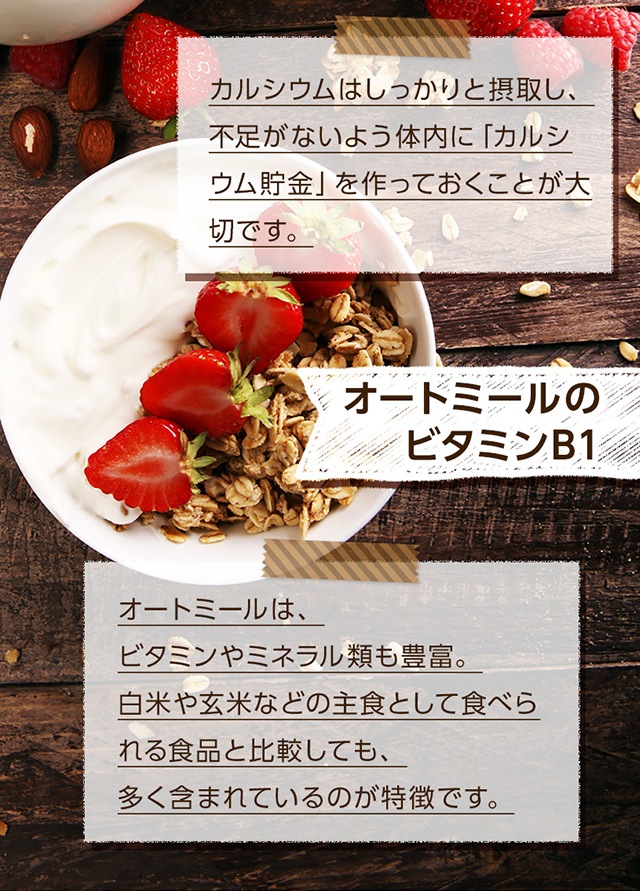 オートミール（テーブルオーツ） の販売 | 【NICHIGA（ニチガ