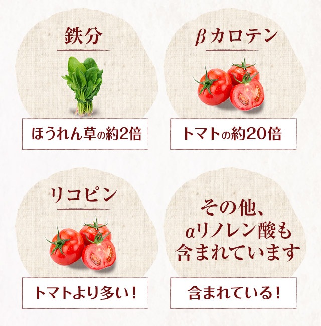 ローズヒップ シェルカット の販売 | 【NICHIGA(ニチガ)】 ☆エコ系 ローズヒップ シェルカット の販売 | 【NICHIGA(ニチガ)】 ☆エコ系