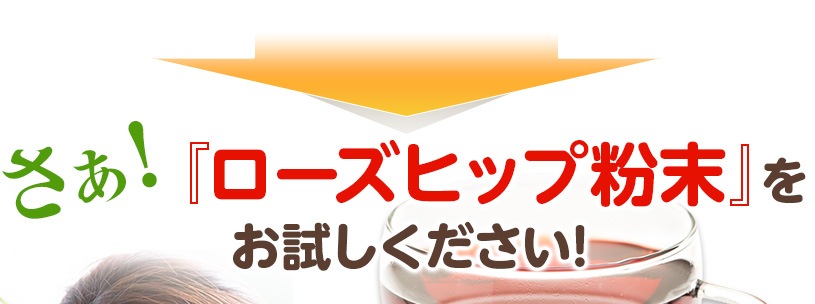 ローズヒップ粉末 の販売 | 【NICHIGA（ニチガ）】 ☆エコ系洗剤、サプリメント、食品、食品添加物のオンラインショップ☆