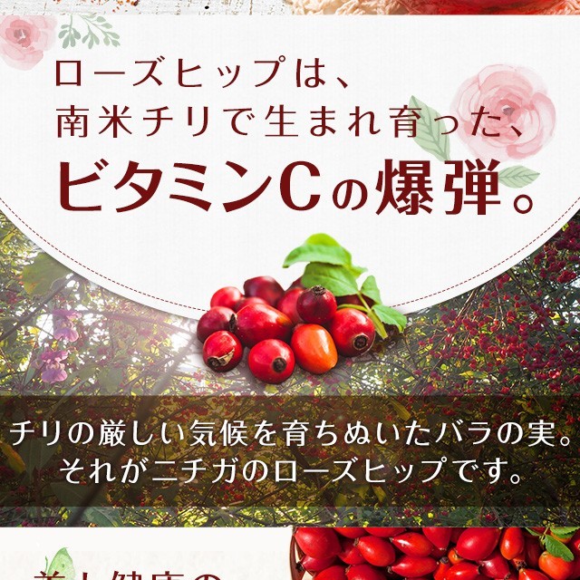 ローズヒップ ファインカット の販売 | 【NICHIGA（ニチガ）】 ☆エコ