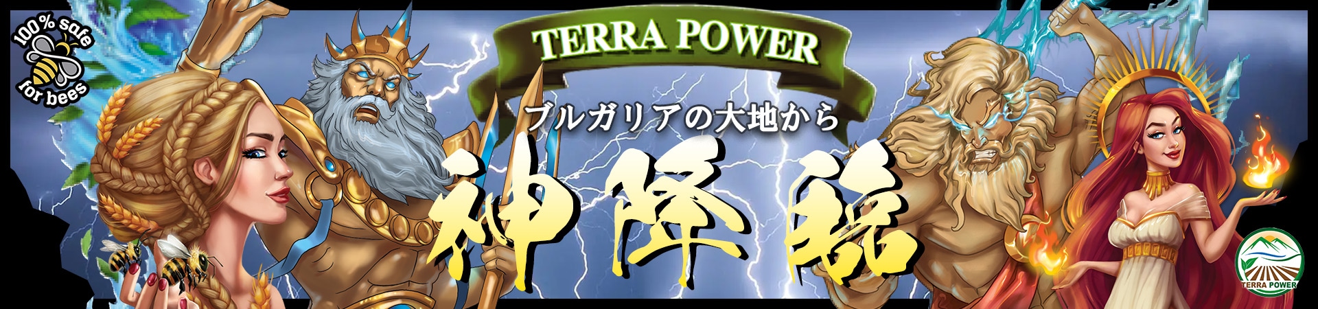 TERRA POWER