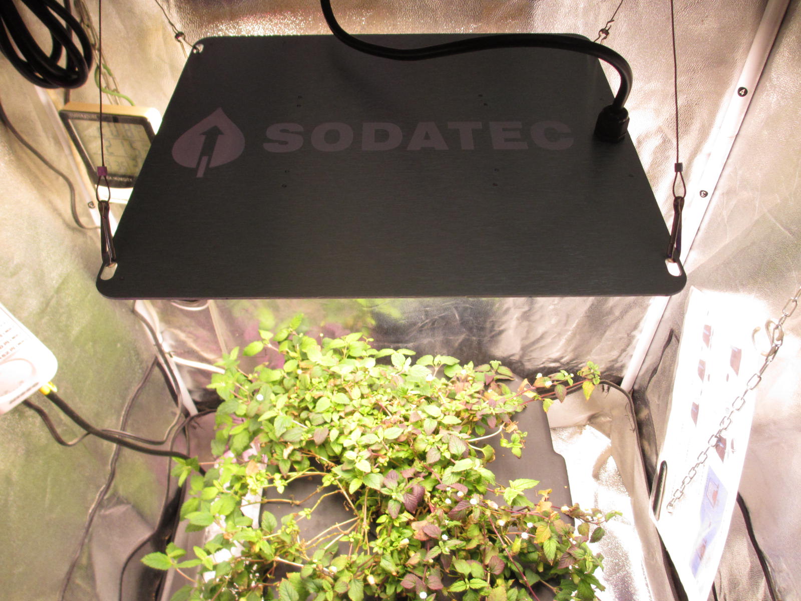 ソダテック LED-01 200W 植物育成LED 超薄型