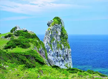 餌やり