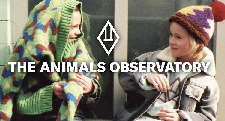 The Animals Observatory