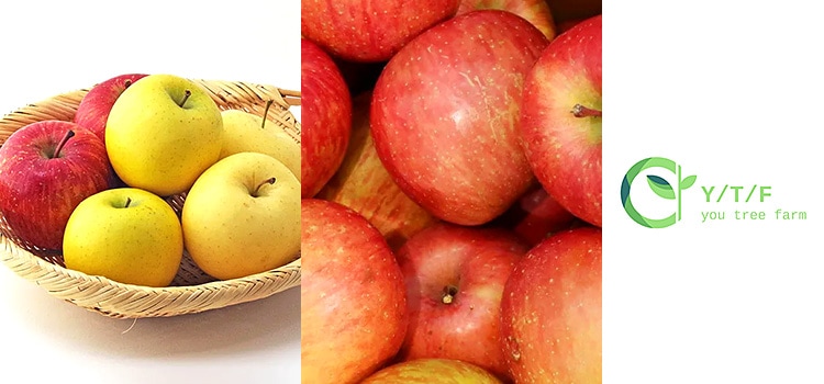 【♡♡】購入ページ エスティマハイブリッド AHR20W H21.1〜H25.5 トヨタ純正