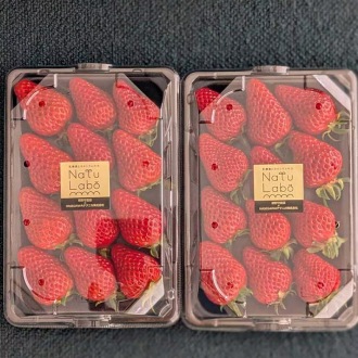 いちご　紅ほっぺ