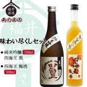 味わい尽くしセット　純米大吟醸「四海王 夢吟香(精米歩合40％)」＆東三河の恵「四海王 梅酒」　720mlx1本　500mlx1本 [al]