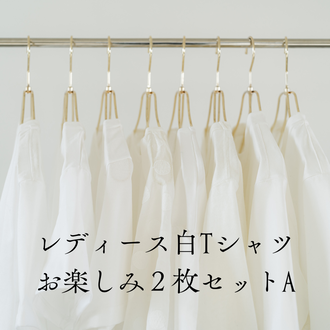 レディース白Tシャツお楽しみ２枚セットA