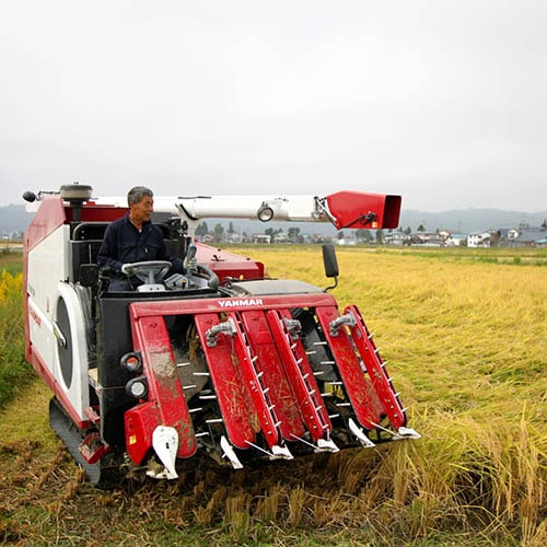 ほまれさん 専用 會津ほまれ 佳撰辛口 1.8L | ほまれ酒造オンラインショップ