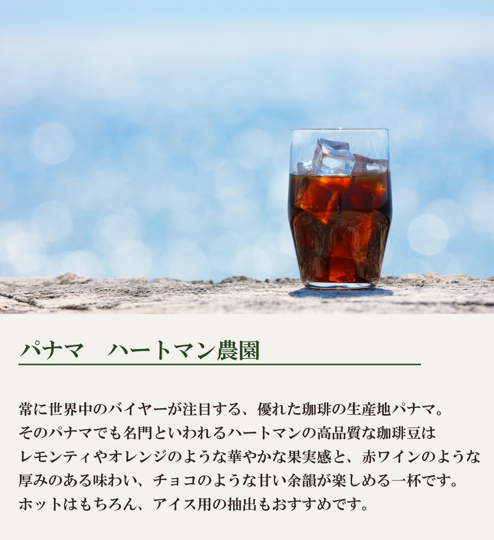 パナマ ハートマン農園（200g） | コーヒーギフト | 公式 椿屋珈琲