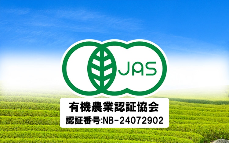 �������˥å� ����