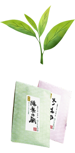 tea leaf