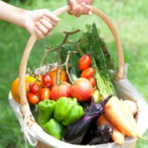 株式会社あざみ農園