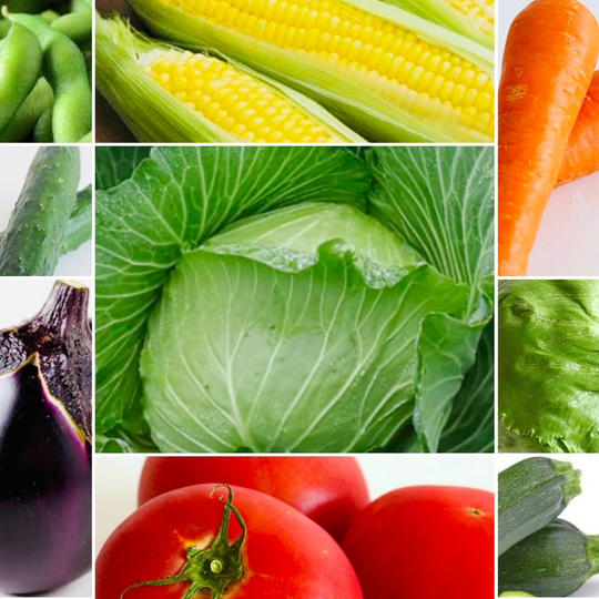 株式会社羽生田ベジタブル