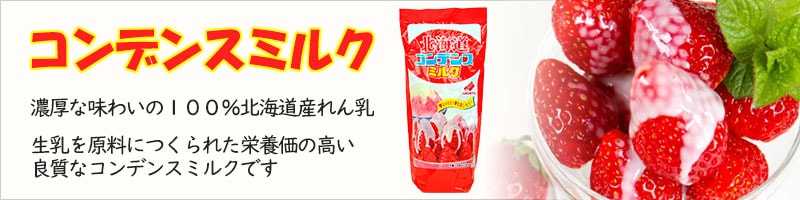 北海道乳業 業務用 コンデンスミルク 1kg スクイズボトル