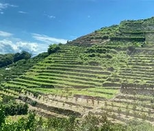 ���᡼����̵�㡹��ˤĤ���