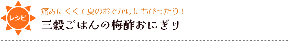 ���������򤴤Ϥ���߿ݤ��ˤ���