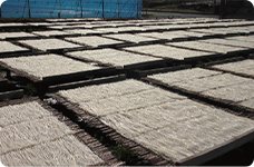 ��������������ܤο���