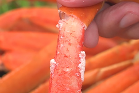 ボイルズワイガニ 800g