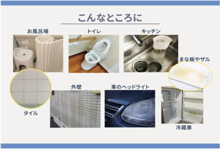 モールドゼロ_image③