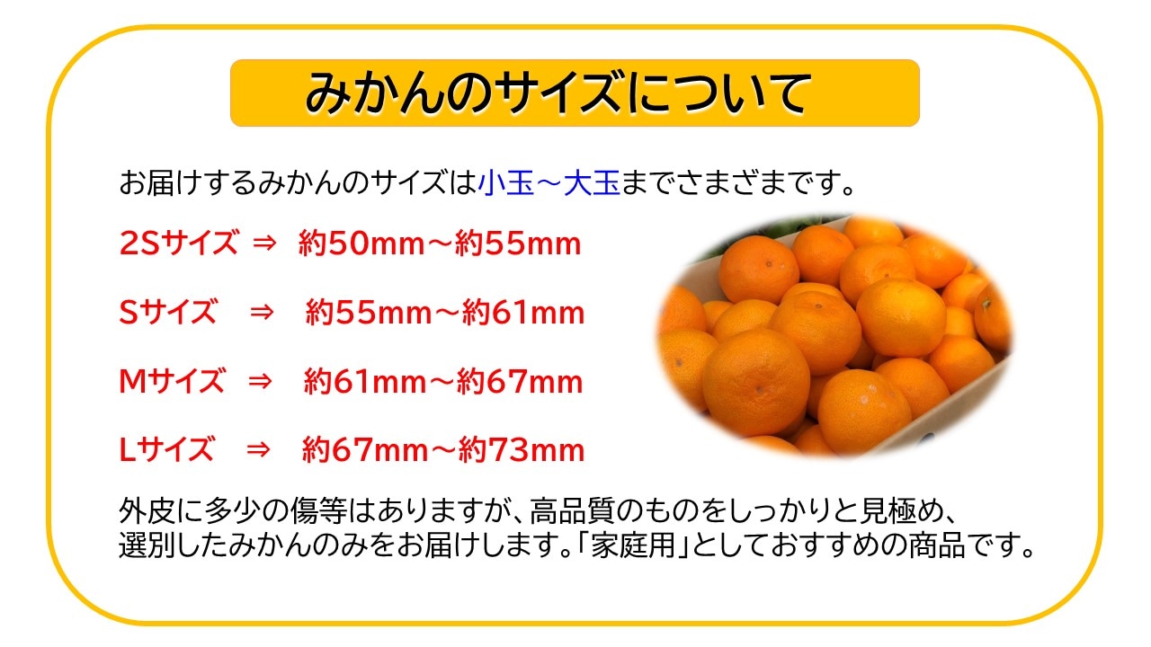 有田みかん＿image