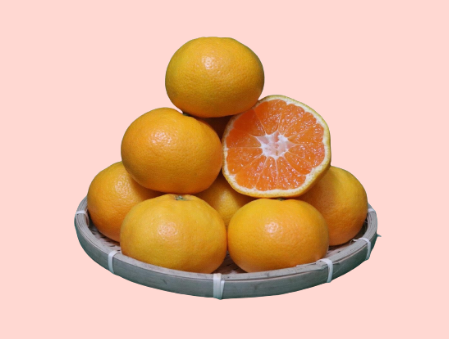 有田みかん＿image