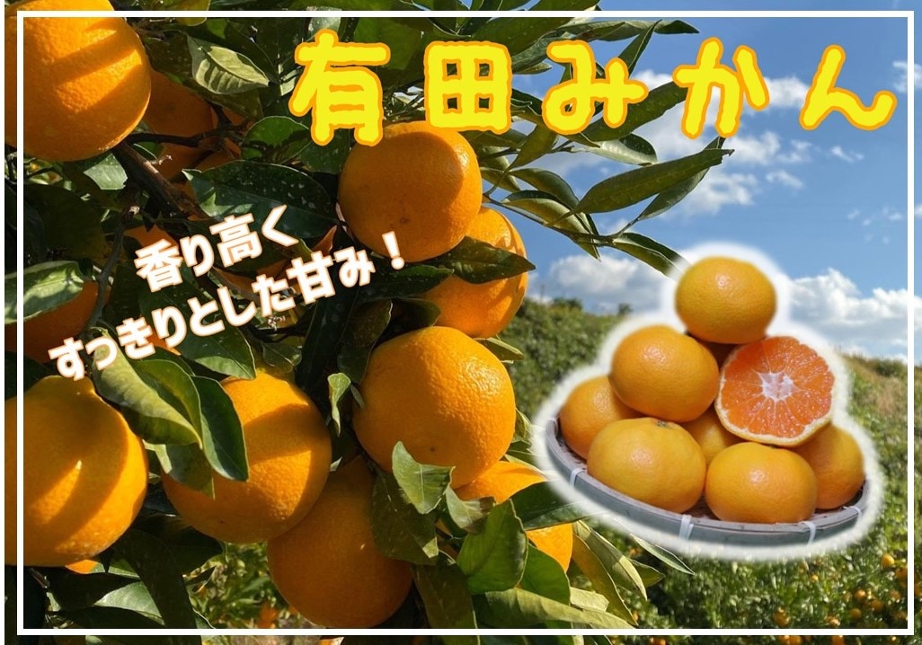 有田みかん＿image