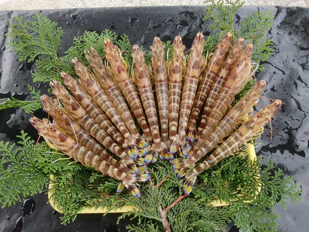 ボイルしたズワイガニの甘みと旨味
肉のふんだんについた爪で美味しさを是非味わって下さい！