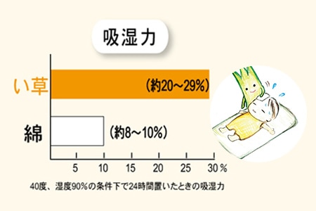 綿と比較するとい草には約3倍の吸湿力があります