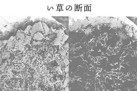 国産のい草は耐久性が高く、弾力性があります。