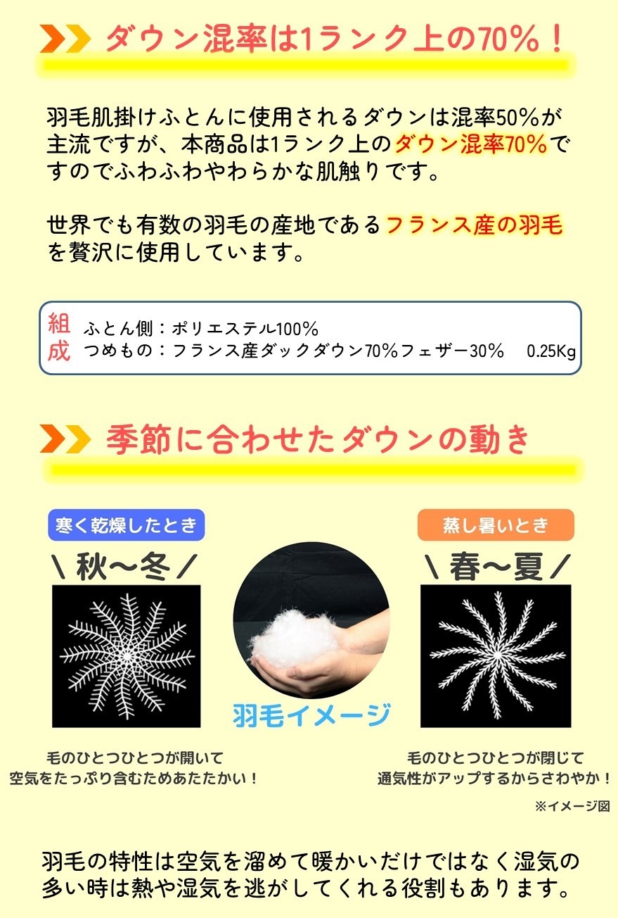 洗える羽毛肌掛けふとん2色組【在庫処分価格】