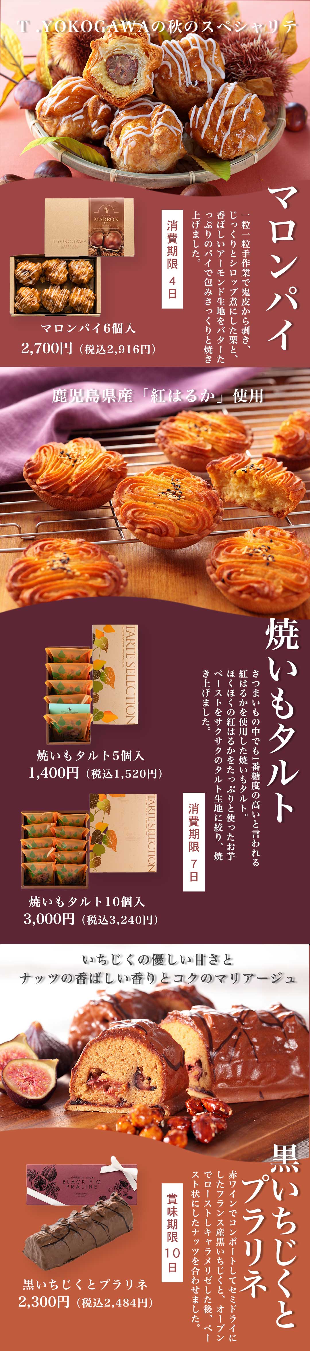 T.YOKOGAWA秋のおすすめ商品