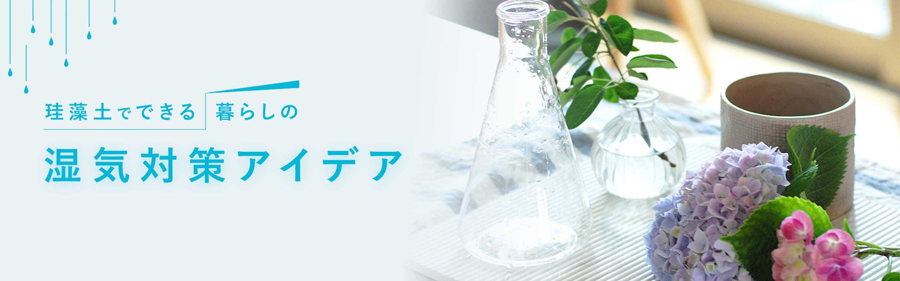 珪藻土でできる暮らしの湿気対策アイデア