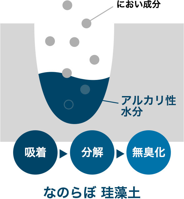 吸着・分解のメカニズム