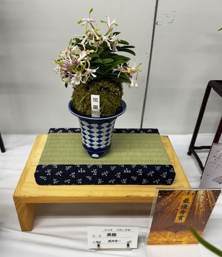 春蘭・富貴蘭WEB通販 三香園 | 東京フウラン展示会