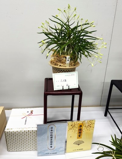 春蘭・富貴蘭WEB通販 三香園 | 東京フウラン展示会