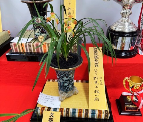 春蘭・富貴蘭WEB通販 三香園 | 春季春蘭全国大会