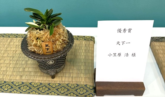 春蘭・富貴蘭WEB通販 三香園 | 四国富貴蘭会2026