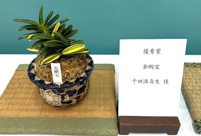 春蘭・富貴蘭WEB通販 三香園 | 四国富貴蘭会2026