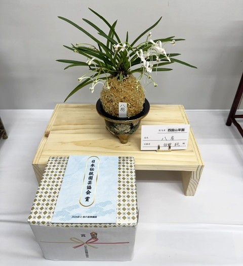 春蘭・富貴蘭WEB通販 三香園 | 彩と香り富貴蘭展