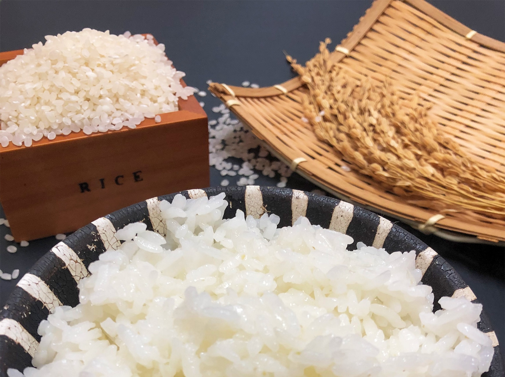 ふるさと納税　静岡県　a21-037　焼津市　30年間無農薬・無肥料のお米（白米）コシヒカリ5kg