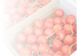 【公式】山梨県 さくらんぼ通販特集 佐藤錦 紅秀峰l南アルプス市白根など